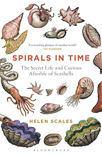 Spirals in Time: The Secret Life and Curious Afterlife of Seashells von Bloomsbury