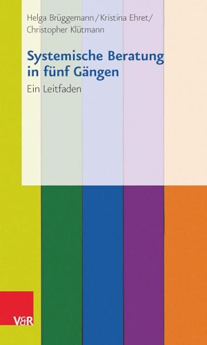 Systemische Beratung in fünf Gängen: Ein Leitfaden