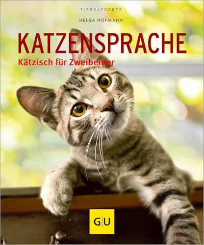 Katzensprache: Kätzisch für Zweibeiner