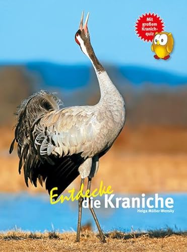 Entdecke die Kraniche: Mit großem Kranichquiz (Entdecke - Die Reihe mit der Eule: Kindersachbuchreihe) von NTV Natur und Tier-Verlag