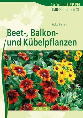 Beet-, Balkon- und Kübelpflanzen: BdB-Handbuch: BdB-Handbuch XI