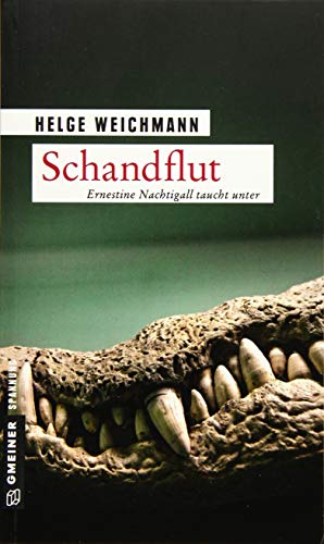 Schandflut: Kriminalroman (Historikerin Tinne Nachtigall) (Kriminalromane im GMEINER-Verlag)