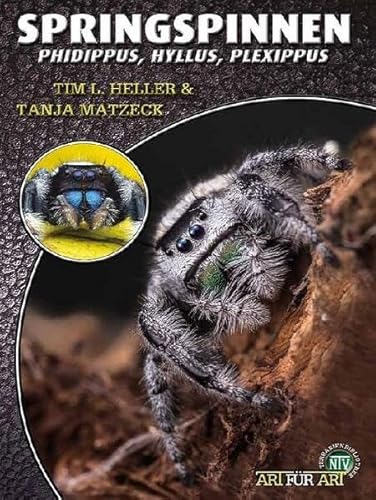 Springspinnen: Phidippus, Hyllus, Plexippus (Buchreihe Art für Art Terraristik) von Natur und Tier