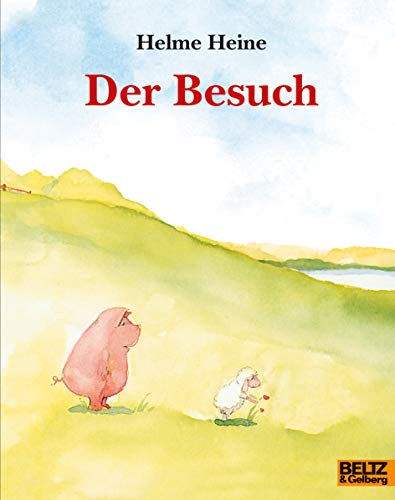 Der Besuch: Vierfarbiges Bilderbuch (MINIMAX)