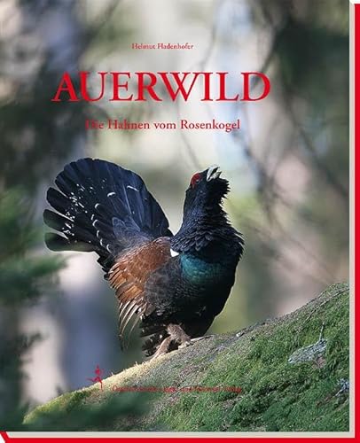 Auerwild: Die Hahnen vom Rosenkogel von Österreichischer Jagd- Und Fischerei-Verlag