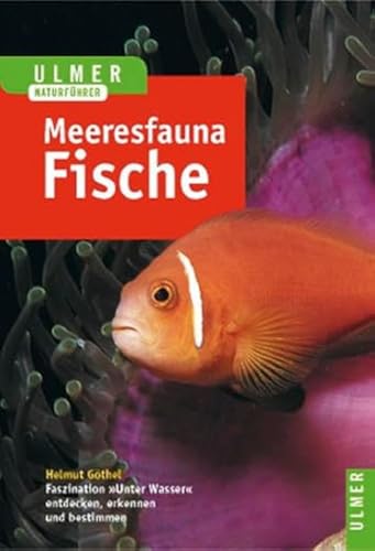 Ulmer Naturführer Meeresfauna: Rotes Meer, Indischer Ozean, Malediven: Rotes Meer. Indischer Ozean (Malediven). 396 Arten in Wort und Bild von Ulmer Eugen Verlag