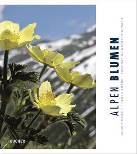 Alpen Blumen: Faszination Naturfotografie von Bucher, Hohenems