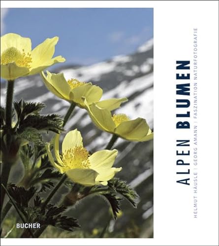 Alpen Blumen: Faszination Naturfotografie
