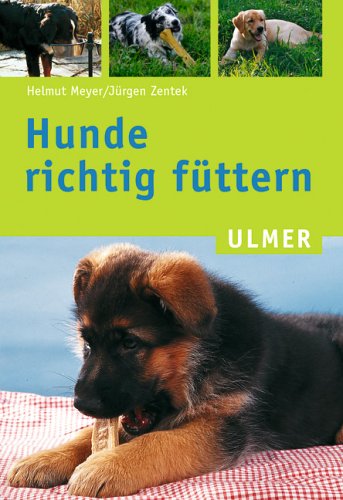 Hunde richtig füttern