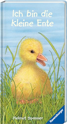 Ich bin die kleine Ente von Ravensburger Verlag