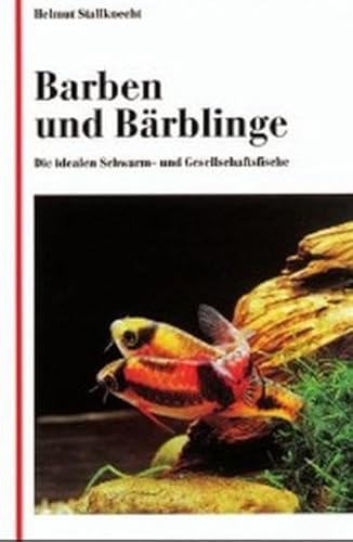 Barben und Bärblinge: Die idealen Schwarm- und Gesellschaftsfische: Die idealen Schwarmfische und Gesellschaftsfische von Tetra Verlag