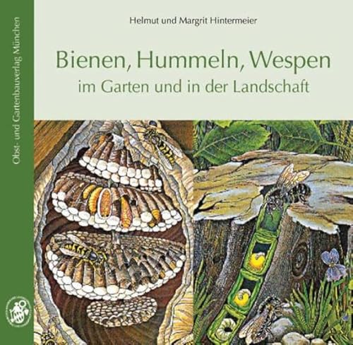 Bienen, Hummeln, Wespen im Garten und in der Landschaft von Obst- und Gartenbauvlg.
