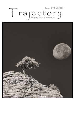Trajectory: Writing That Illuminates, Issue 27 von Helvey Enterprises
