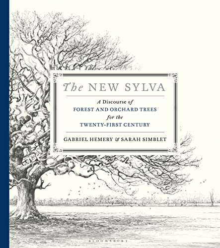 The New Sylva: A Discourse of Forest and Orchard Trees for the Twenty-First Century von Bloomsbury Publishing