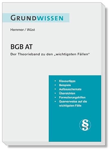 Grundwissen BGB AT: Der Theorieband zu den "wichtigsten Fällen" (Skripten - Zivilrecht)
