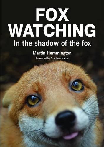 Fox Watching: In the Shadow of the Fox von Whittet Books Ltd