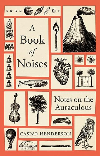 A Book of Noises: Notes on the Auraculous von Granta Books