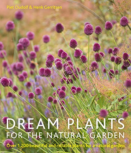 Dream Plants for the Natural Garden: Over 1,200 Beautiful and Reliable Plants for a Natural Garden von Frances Lincoln