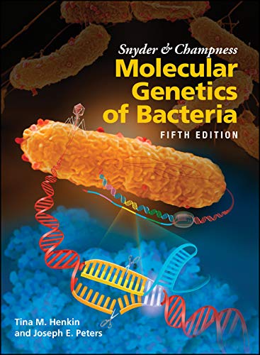 Snyder and Champness Molecular Genetics of Bacteria (ASM) von ASM Press