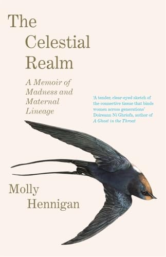 The Celestial Realm: SHORTLISTED FOR THE SUNDAY INDEPENDENT NEWCOMER OF THE YEAR IRISH BOOK AWARDS von Bonnier Books UK