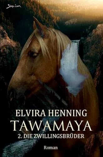 Tawamaya - 2.: Die Zwillingsbrüder: Ein historischer Roman