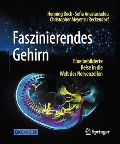 Faszinierendes Gehirn: Eine bebilderte Reise in die Welt der Nervenzellen