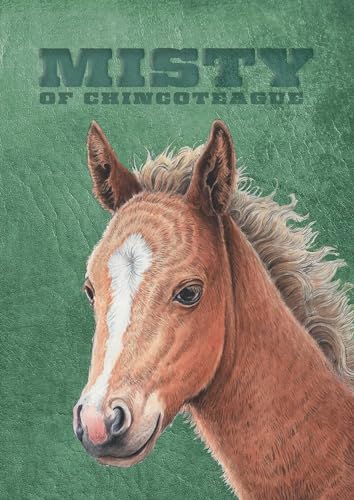 Misty of Chincoteague: Special Edition