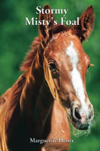 Stormy, Misty’s Foal von Anpan Publications