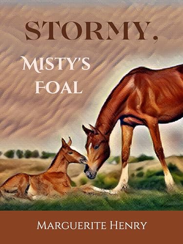 Stormy, Misty's Foal von Anson Street Press