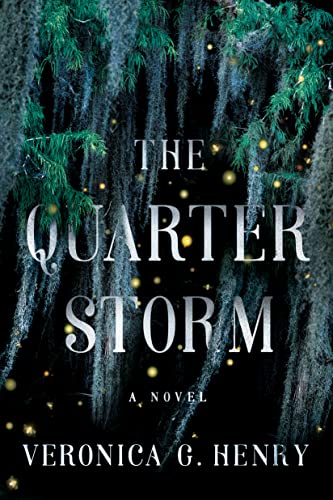 The Quarter Storm: A Novel (Mambo Reina, Band 1)
