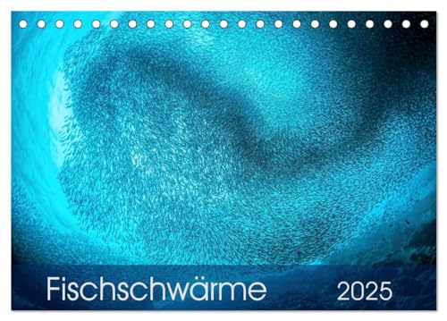 Fischschwärme (Tischkalender 2025 DIN A5 quer), CALVENDO Monatskalender von CALVENDO