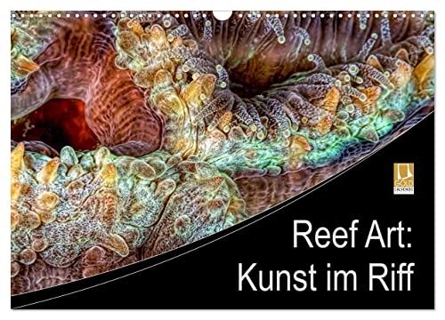 Reef Art - Kunst im Riff (Wandkalender 2024 DIN A3 quer), CALVENDO Monatskalender von CALVENDO