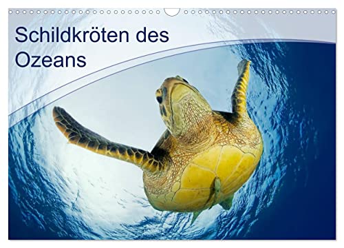 Schildkröten des Ozeans (Wandkalender 2024 DIN A3 quer), CALVENDO Monatskalender