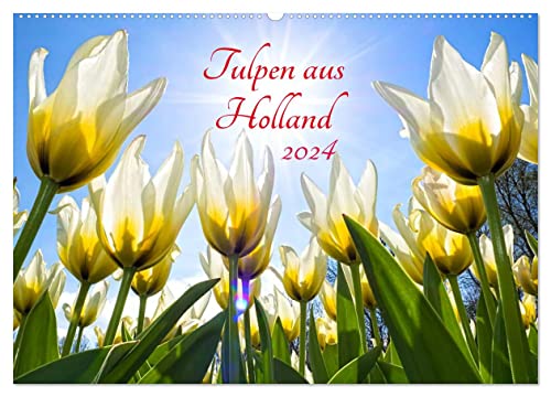 Tulpen aus Holland (Wandkalender 2024 DIN A2 quer), CALVENDO Monatskalender