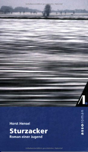 Sturzacker: Roman einer Jugend