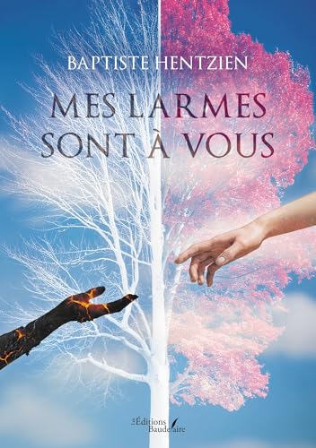 Mes larmes sont à vous von Baudelaire