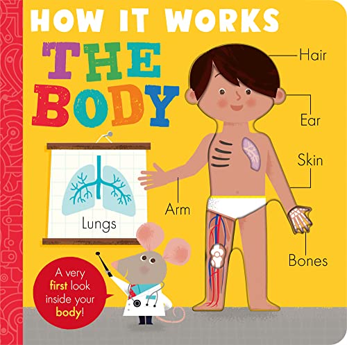 How it Works: The Body: HIW: Body (How it Works, 3) von Little Tiger