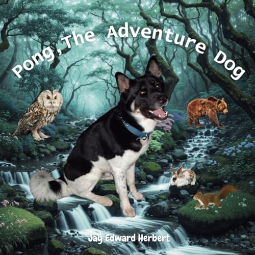 Pong, The Adventure Dog von Independently published