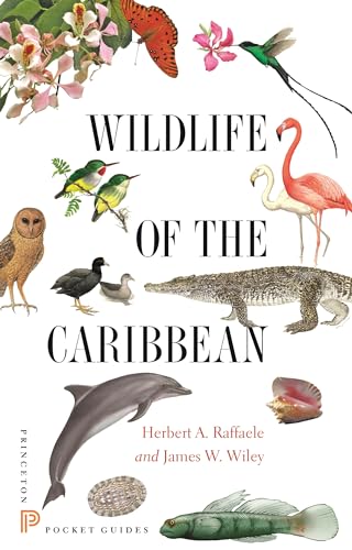 Wildlife of the Caribbean (Princeton Pocket Guides) von Princeton University Press