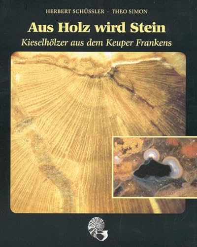Aus Holz wird Stein: Kieselhölzer aus dem Keuper Frankens