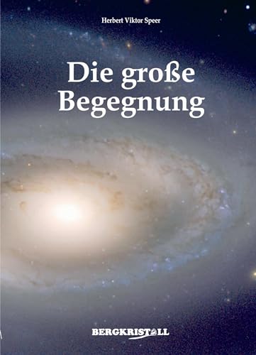 Die Große Begegnung: Erfahrungsbericht über die lichte und die lichtlose Jenseitswelt