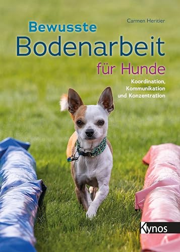 Bewusste Bodenarbeit für Hunde: Koordination, Kommunikation und Konzentration von Kynos