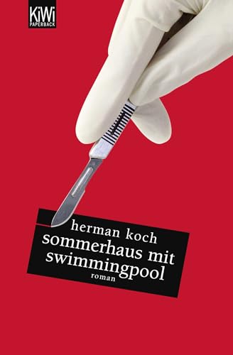 Sommerhaus mit Swimmingpool: Roman