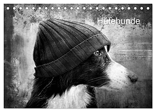 Hütehunde (Tischkalender 2024 DIN A5 quer), CALVENDO Monatskalender