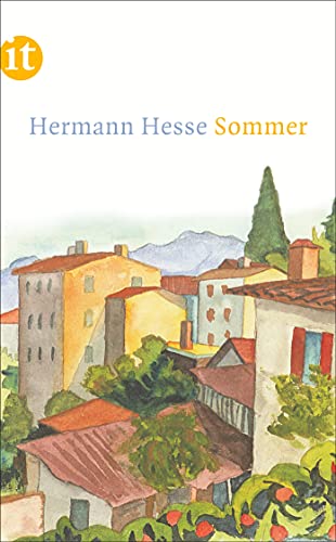 Sommer (insel taschenbuch)
