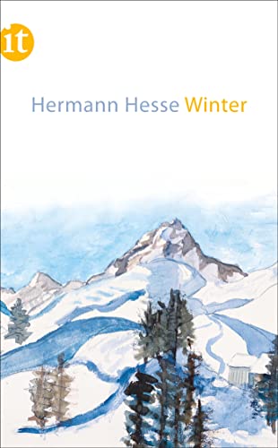 Winter (insel taschenbuch)
