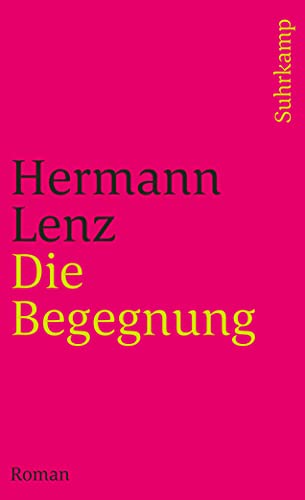Die Begegnung: Roman (suhrkamp taschenbuch)