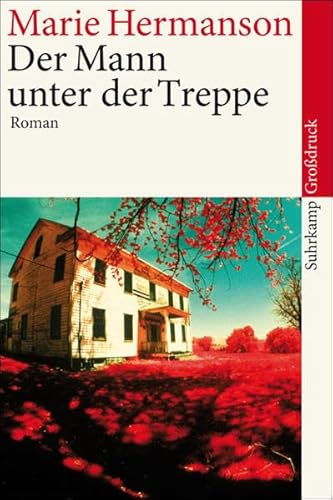 Der Mann unter der Treppe: Roman. Großdruck (suhrkamp taschenbuch)