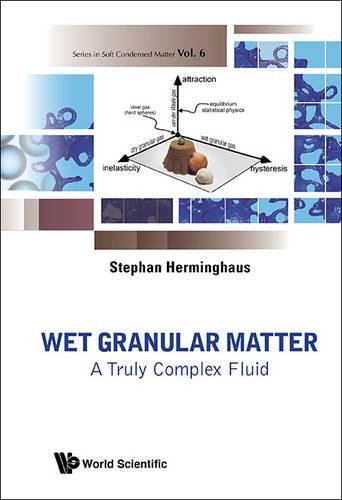 Wet Granular Matter: A Truly Complex Fluid (Series in Soft Condensed Matter, Band 6)