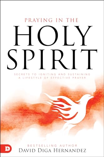 Praying in the Holy Spirit: Secrets to Igniting and Sustaining a Lifestyle of Effective Prayer von Destiny Image